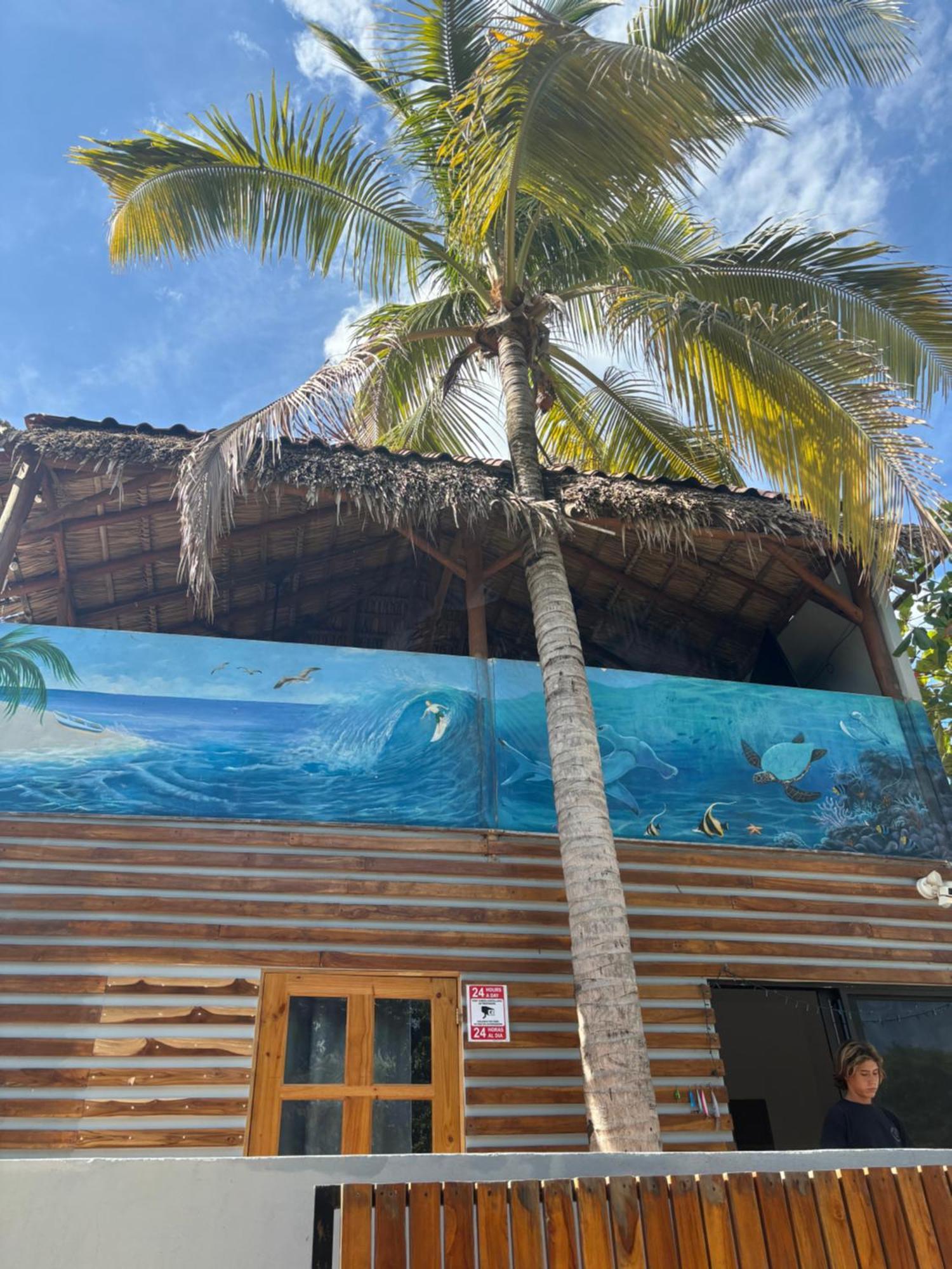Quinta Esencia Panzió Brasilito Kültér fotó