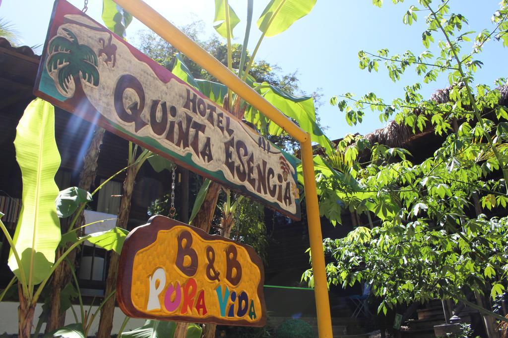 Quinta Esencia Panzió Brasilito Kültér fotó